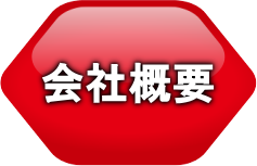 SHIN-FITの信頼と実績（会社概要ページへ）